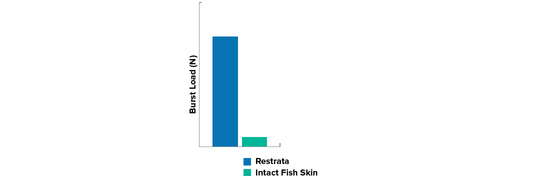 fish_study_3.png
